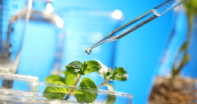 Microbial Fermentation or Enzymatic Production of Steviol Glycosides Technology Project.jpeg